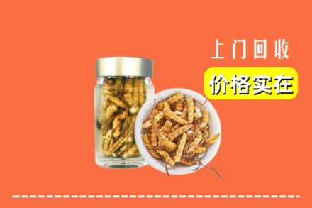 收购资讯:莆田荔城区回收散虫草