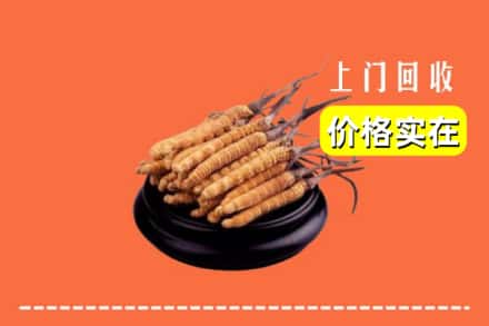 莆田荔城区回收冬虫夏草