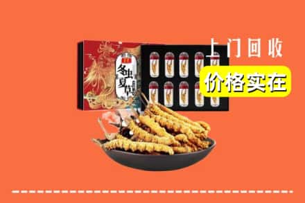 莆田荔城区回收虫草